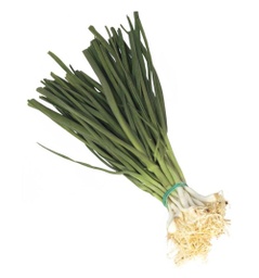 [200825] ALL MANAT 25 LLIGAMS